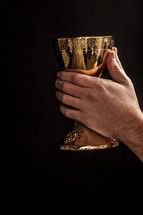Hands raising a golden goblet.