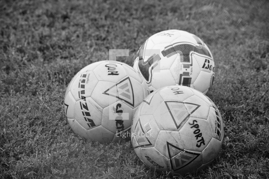 soccer balls in the grass