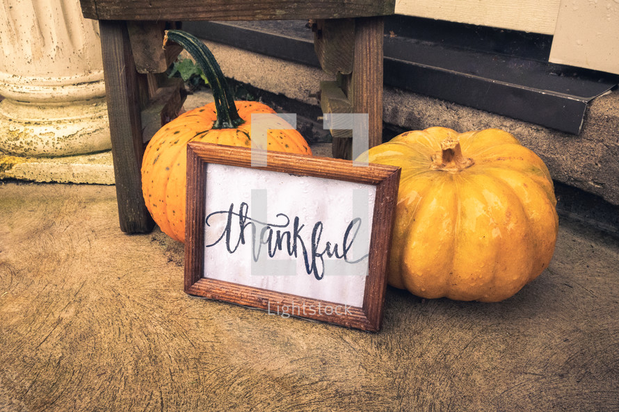 thankful sign and pumpkins on a floor 