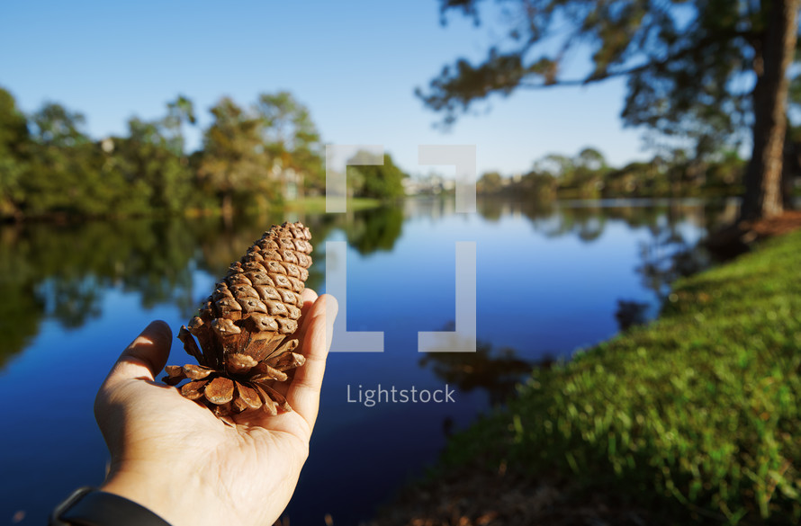 Human hand holding pine cone next to the lake