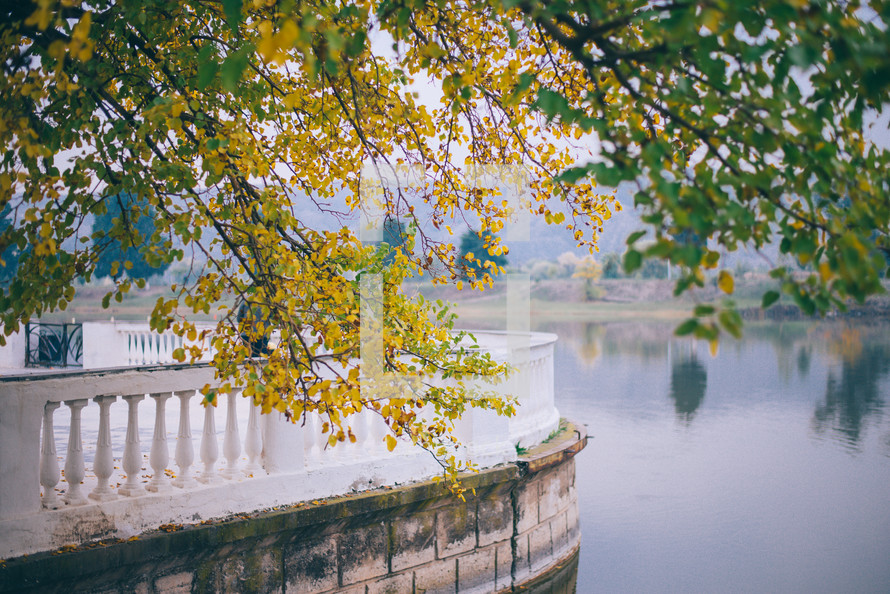  Green and yellow leaves