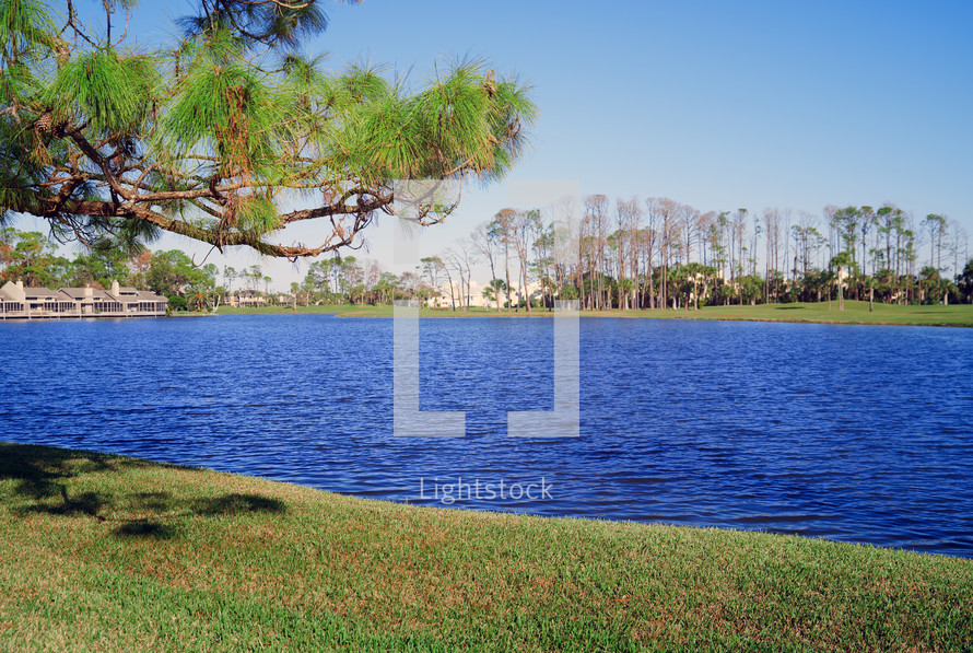 Lake in residential distrcit, Florida