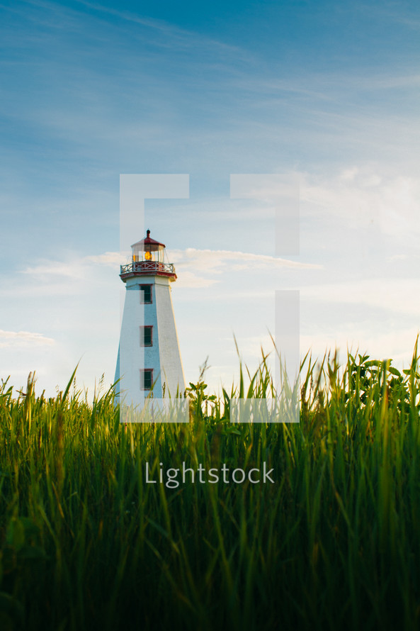 tall grasses and a lighthouse 