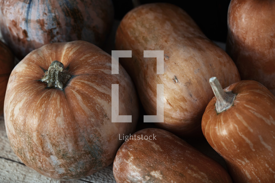 rustic pumpkins 