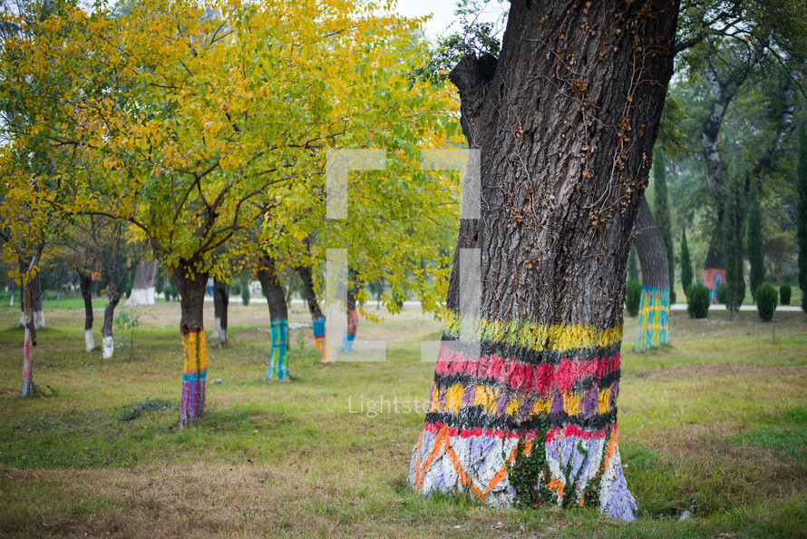 Painted tree trunks