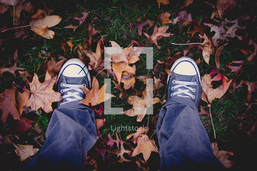 sneakers standing in fall leaves 