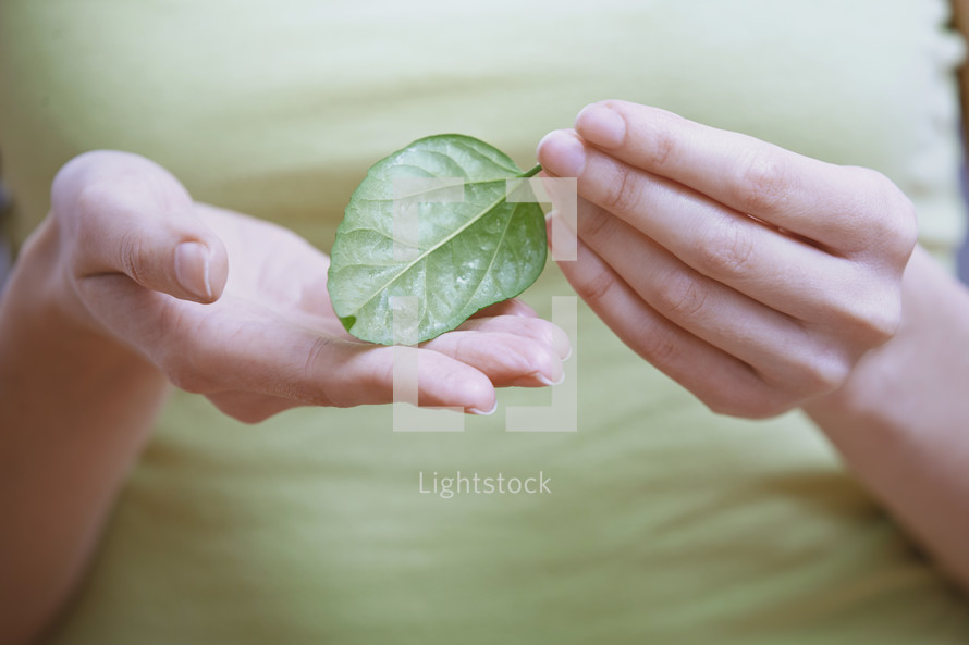 woman holding a green leaf 