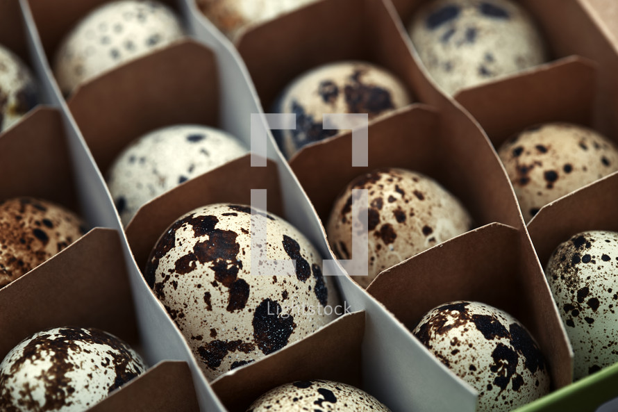 speckled eggs in a box 