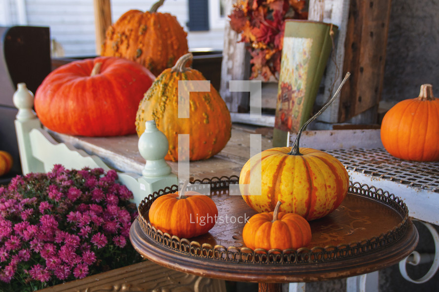 Thanksgiving autumn fall harvest stock photo background with pumpkins and mums for social media or presentation slide background
