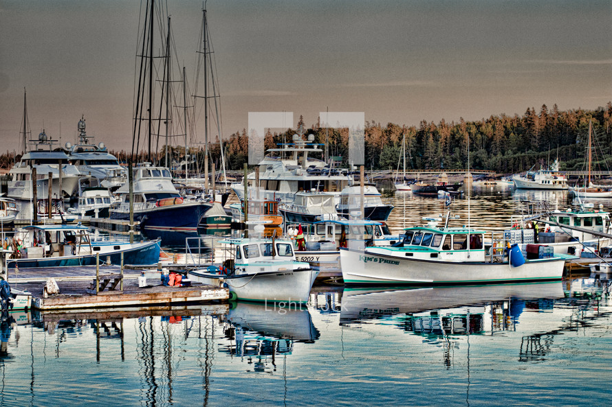 boats in a crowded marina 