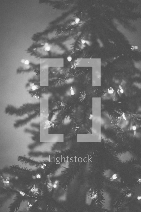 A Christmas tree with lights