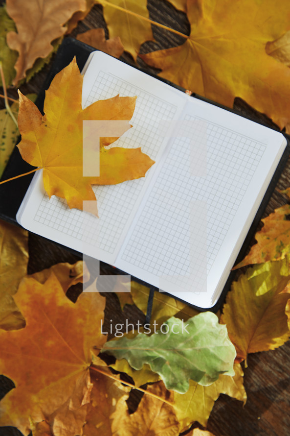 open notebook on fall leaves 