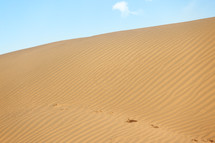 tracks on desert sand 
