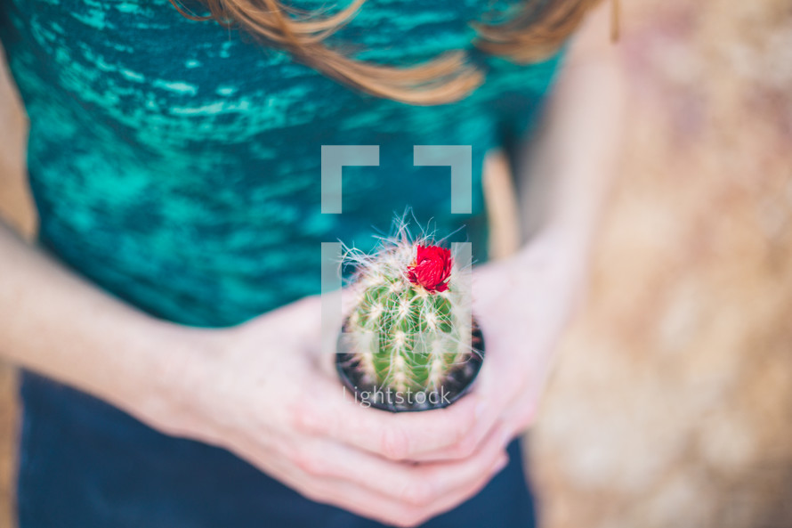 a woman holding a potted cactus 