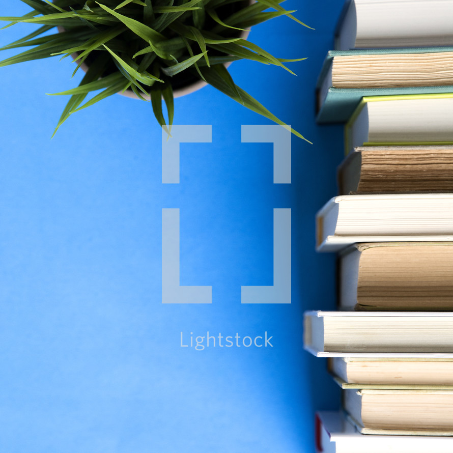 stack of books and a potted plant on a blue background.