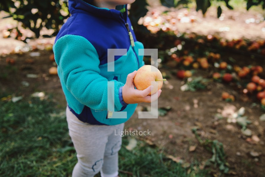 toddler girl holding an apple 