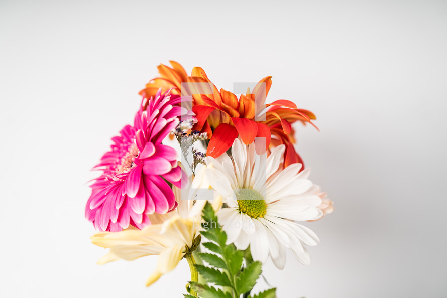 bouquet of flowers on a white background 