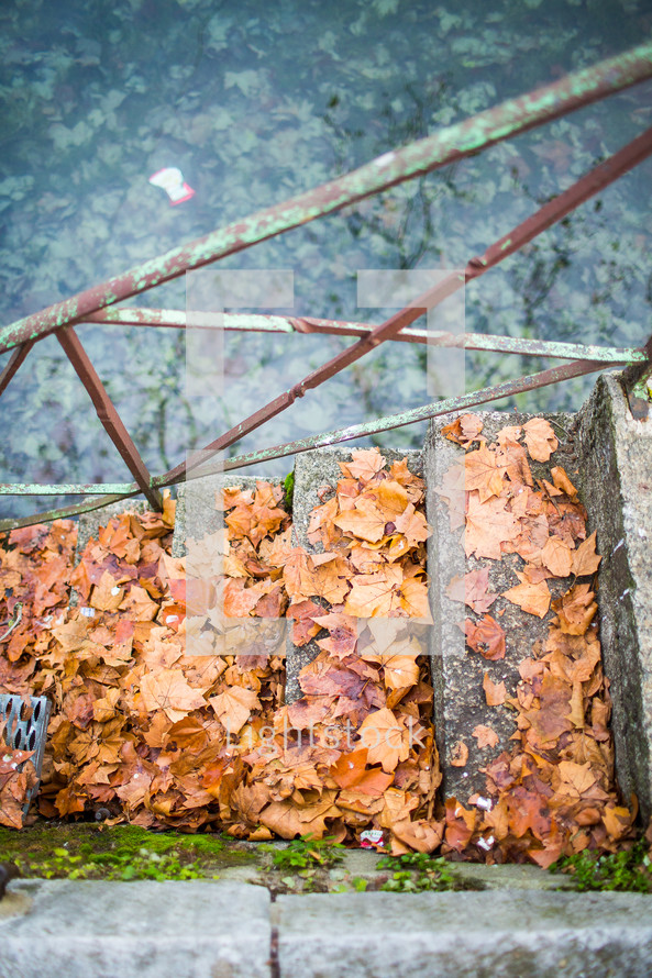 fall leaves on steps 