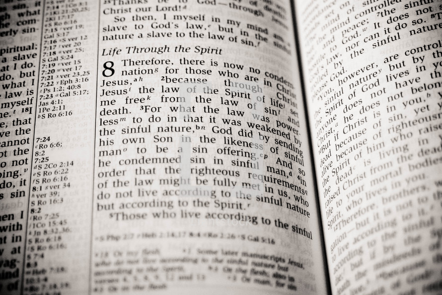 Life Through the Spirit scripture 