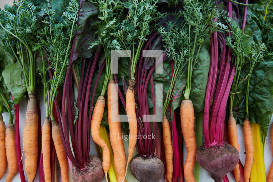 colorful vegetable background 