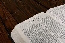 Scripture Titles - 1 Peter