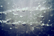 bubbles in ice 
