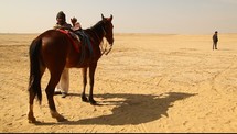 a horse and man in the desert 