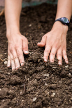 planting seeds in soil 