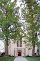 tall trees at the entrance of a church 