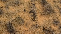 footprint in sand 