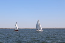 sailboats on the water 