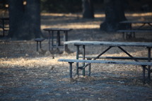 fallen leaves and picnic tables