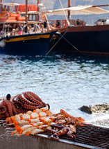 Octopus on beach in greece