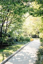 sidewalk in a neighborhood lined with trees 