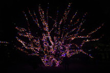 colorful lights on a tree