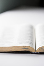 open Bible on a white background