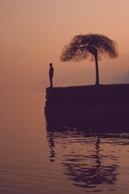 silhouette of a man and tree at the edge of water 