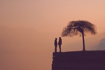 edge. man, tree, standing, water, silhouette, sunset, purple sky 