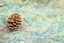 pinecone on blue crinkled background 