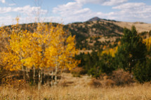 fall mountain and field scene 