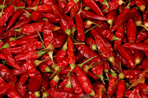 Dried red chilli background, food ingredient.