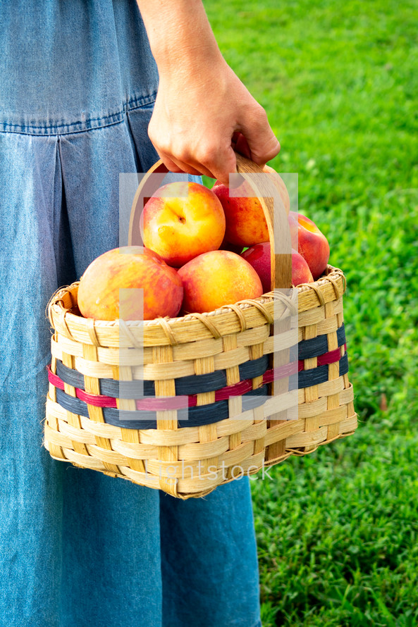 carrying a basket of peaches 