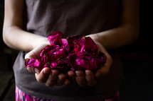 rose petals in cupped hands 