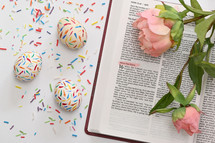 decorated Easter egg and opened Bible 
