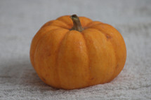 orange mini pumpkin on concrete 