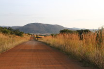 A red dirt road running through tall grass toward a mountain, with elephants in the distance.