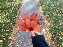 arm holding out red fall leaves over a sidewalk 