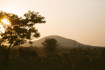 sun behind a tree and a hill in Africa 