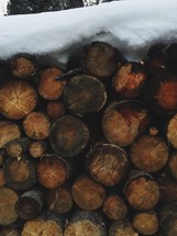 A pile of logs covered in snow.