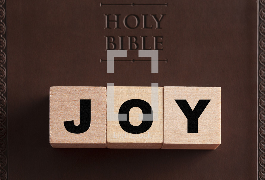 Holy Bible and word joy 